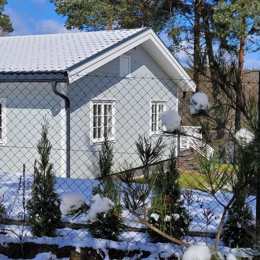 Przystan Na Zagorzu - Apartamenty Nad Jeziorem Drezdenko Eksteriør billede